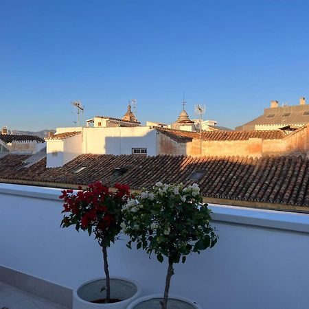 Atarazanas Suite, Atico Con Terraza Málaga Kültér fotó